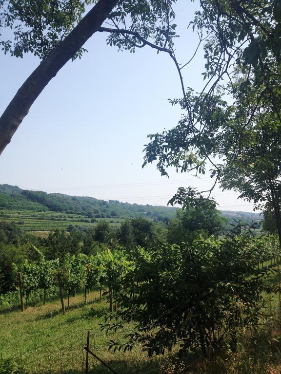 B&B Maccalle Oasi Franciacorta Provezze Zewnętrze zdjęcie